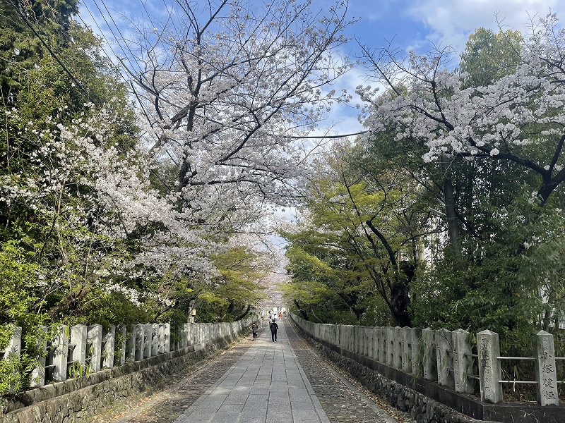 向日神社