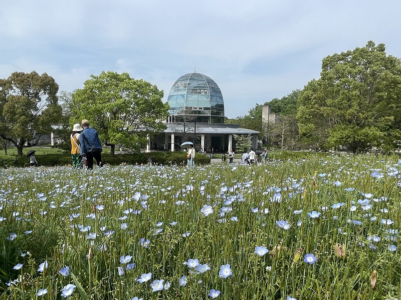 奈良県営馬見丘陵公園