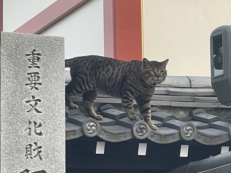 極楽寺