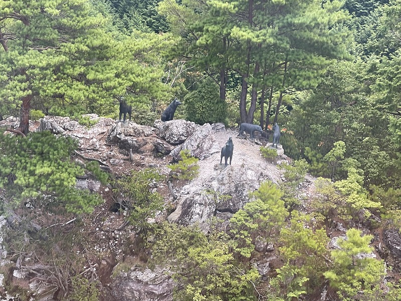 5体のニホンオオカミ像