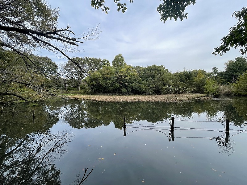 善福寺池