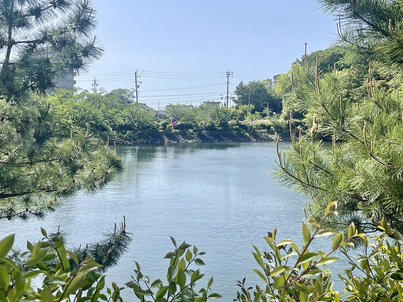 彦左公園