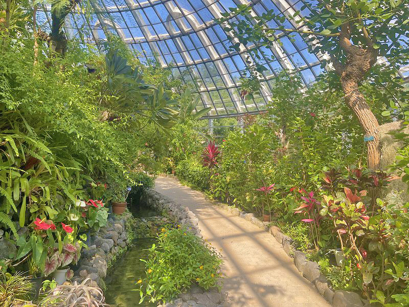 伊丹市昆虫館