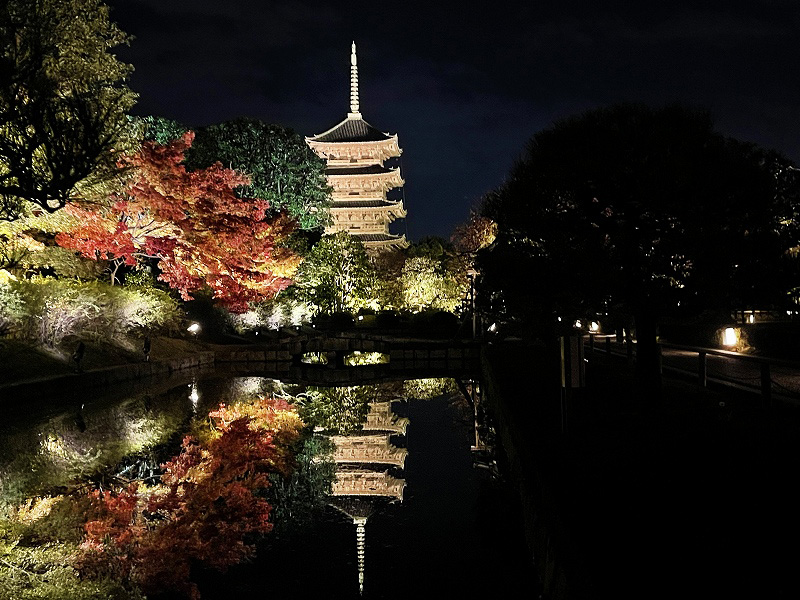 東寺 ライトアップ