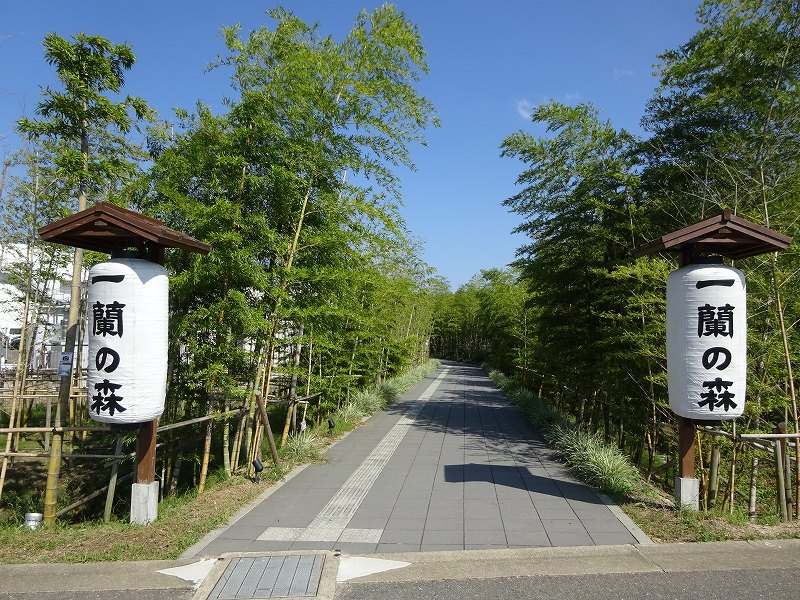 一蘭の森