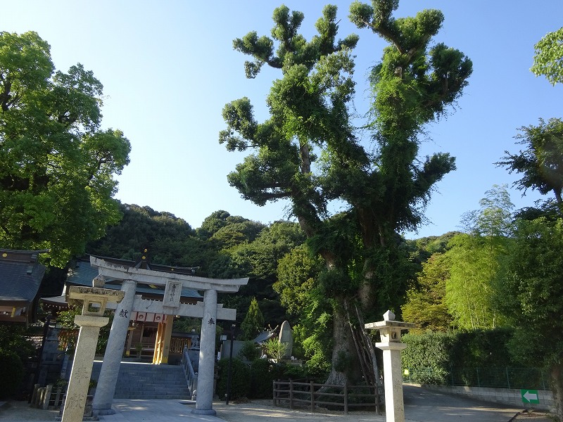 春日神社