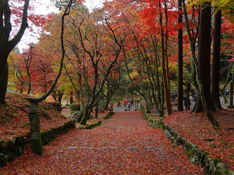 鶏足寺