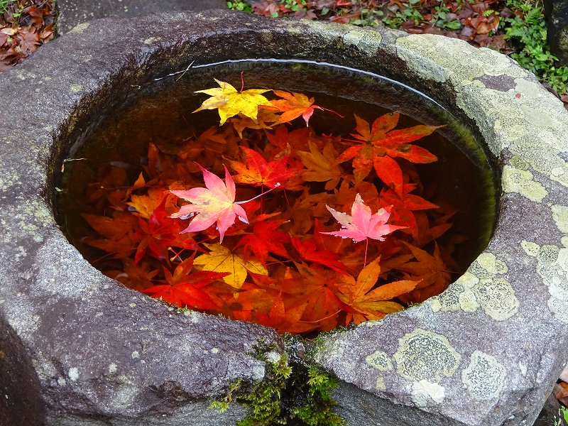 鶏足寺