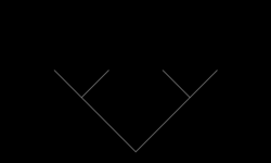 250x150(791bytes)