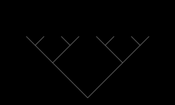 250x150(994bytes)