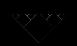 250x150(1251bytes)