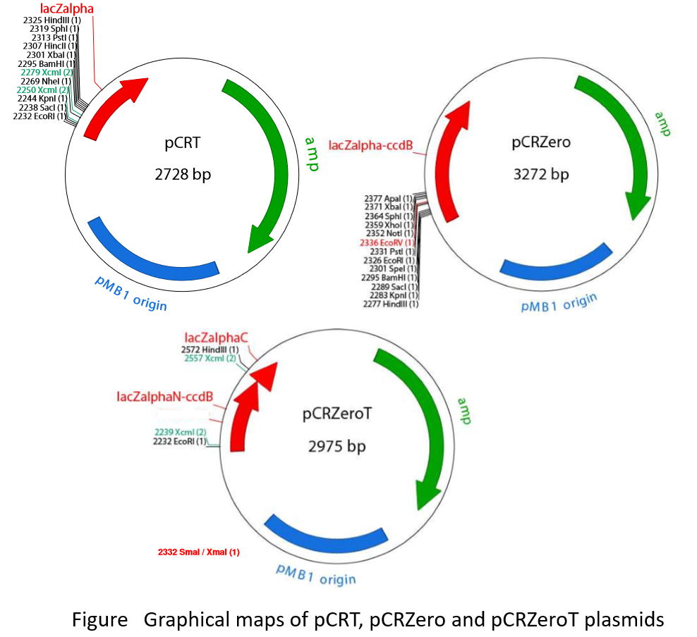 Takara Restriction Enzyme Buffer Chart