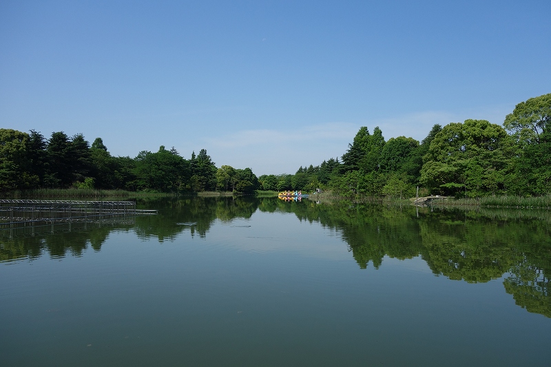 柏の葉公園