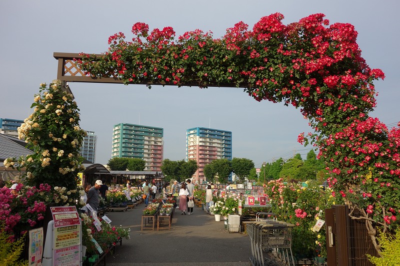 京成バラ園