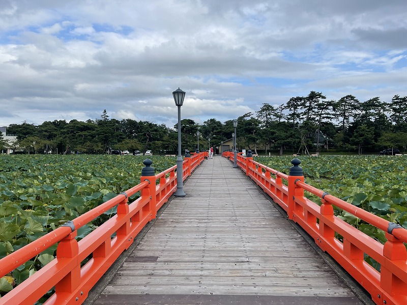 高田城址公園