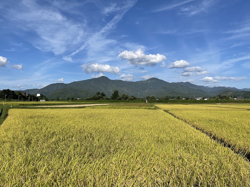 権現堂山