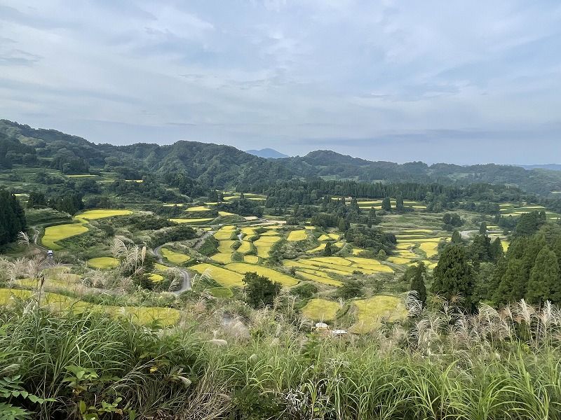 星峠の棚田