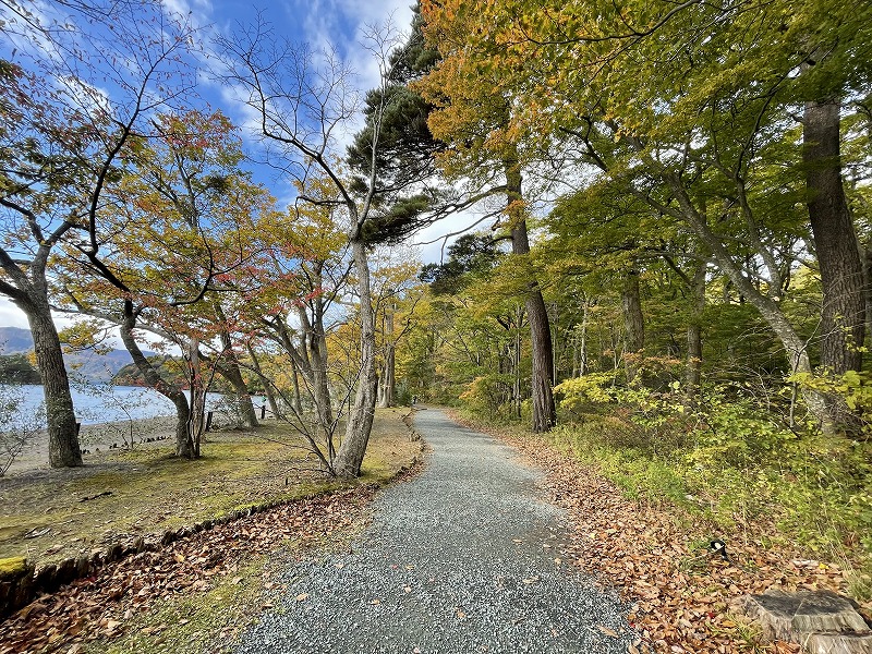十和田湖　自然探勝路