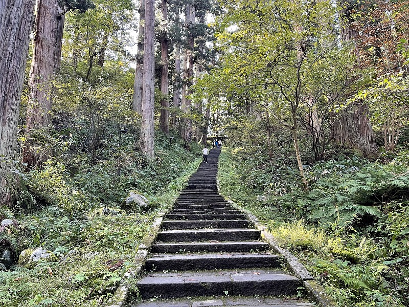 羽黒山　表参道杉並木