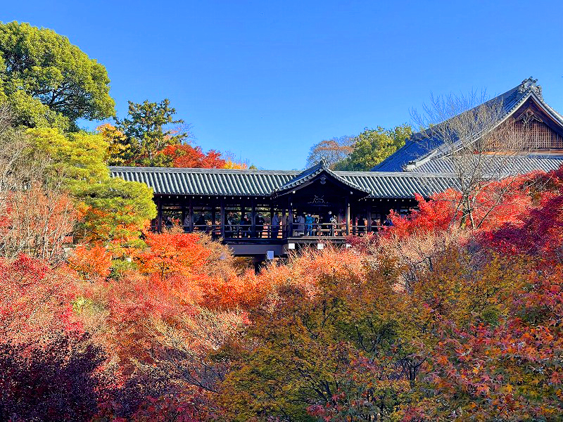 通天橋