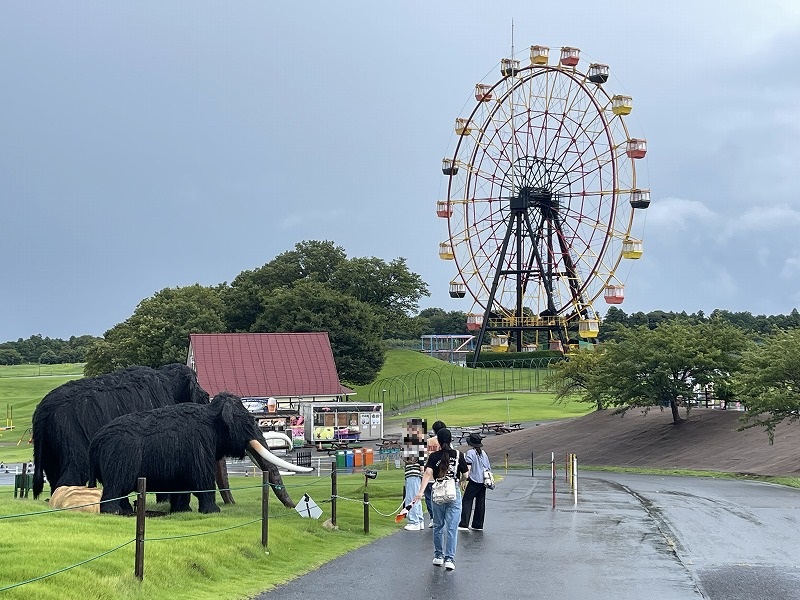 東京ドイツ村