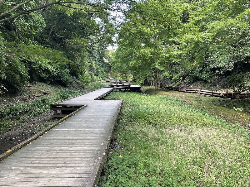 濃溝の滝・亀岩の洞窟