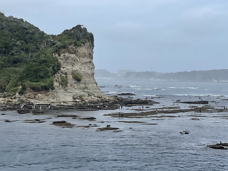 勝浦海中公園