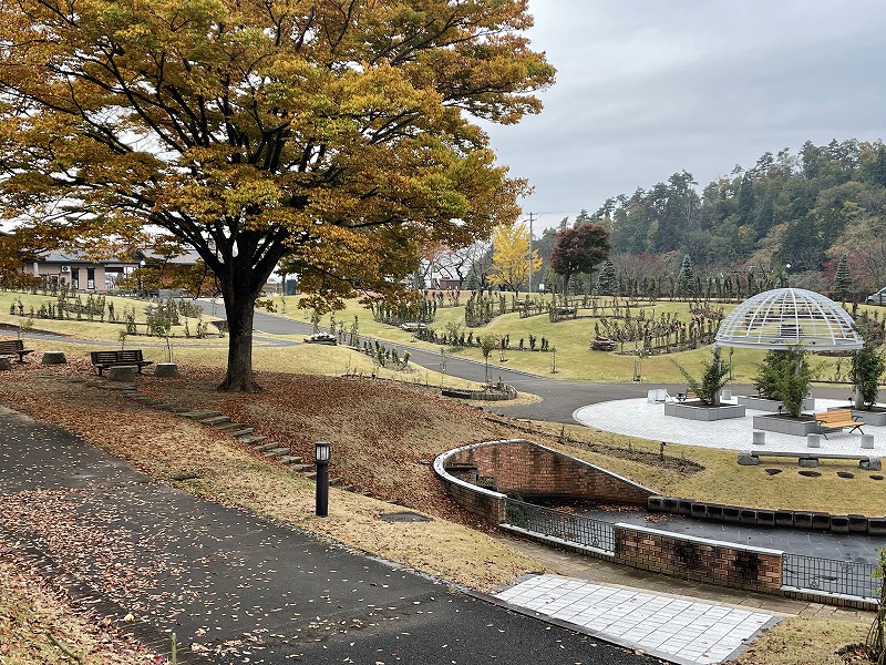 東沢バラ公園