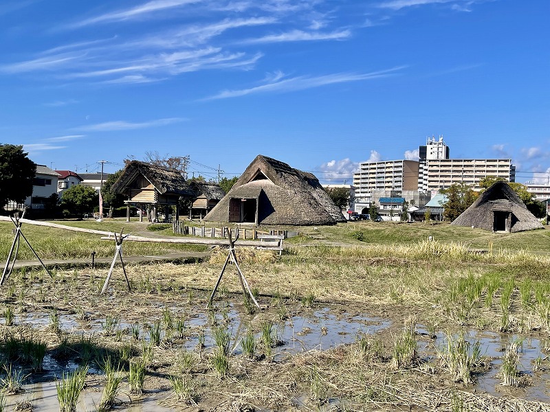 登呂遺跡