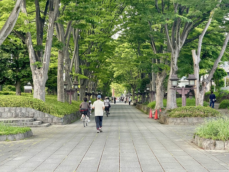 氷川参道