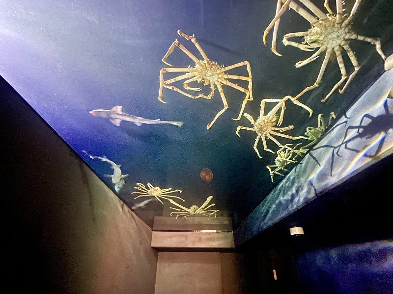 蒲郡市竹島水族館