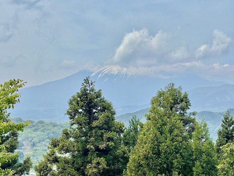 山北つぶらの公園