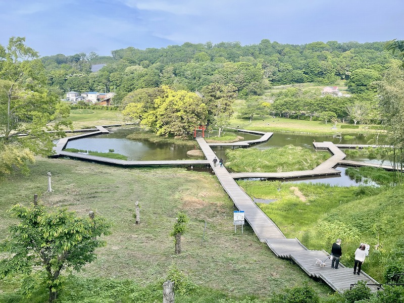 厳島湿生公園