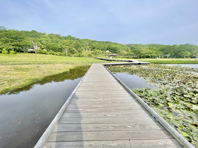 厳島湿生公園