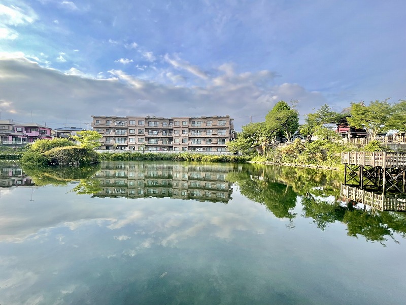 秦野盆地湧水群