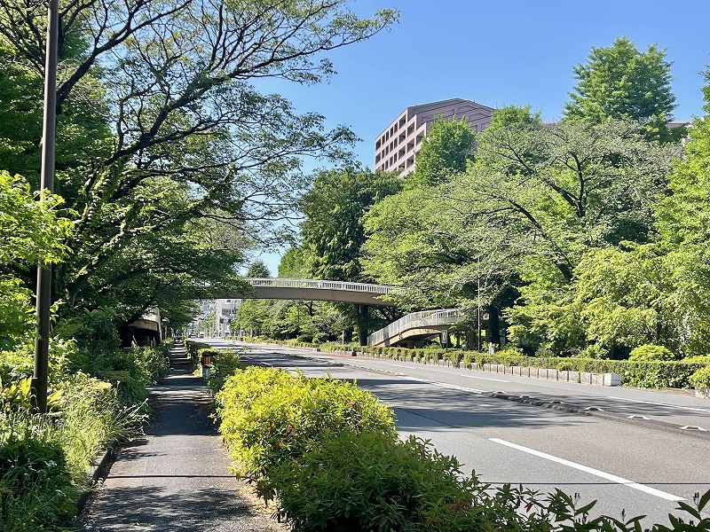 大学通り歩道橋