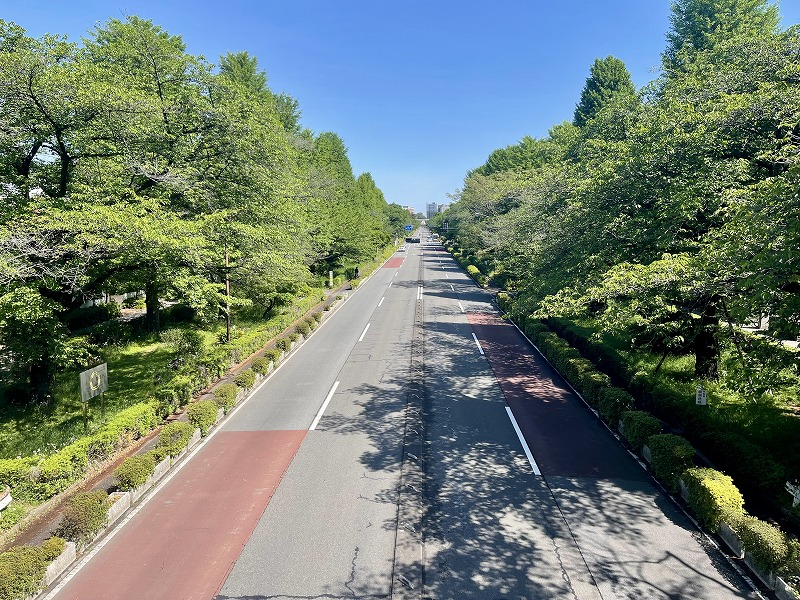 大学通り歩道橋