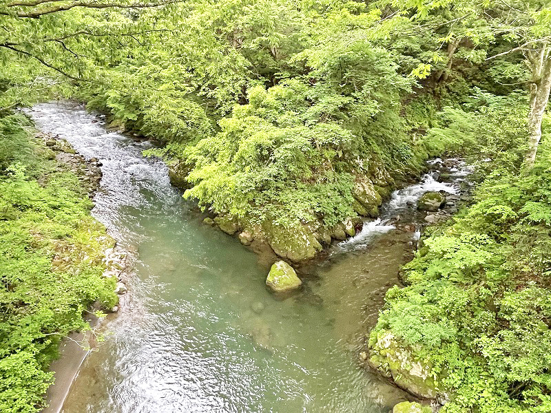 足羽川渓谷
