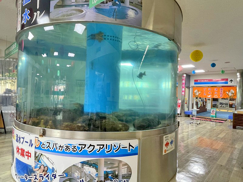 道の駅 越前