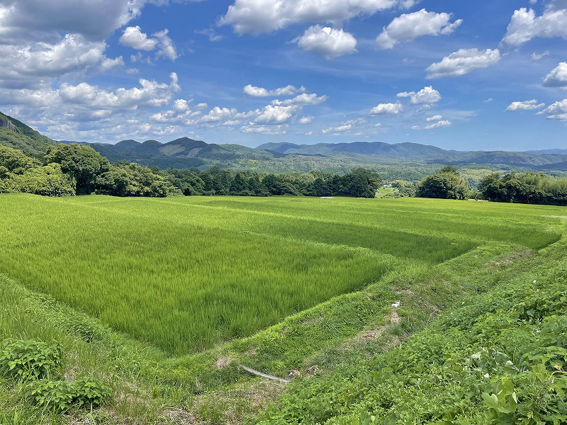那岐山麓 山の家　棚田