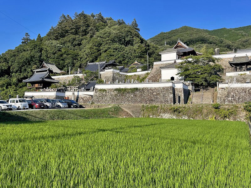 薬師院　松連寺