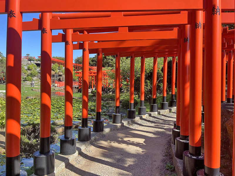 高山稲荷神社 千本鳥居