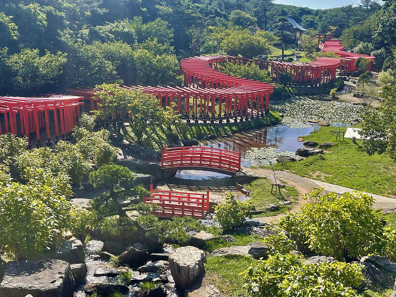 高山稲荷神社 千本鳥居