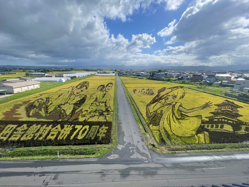 田んぼアート