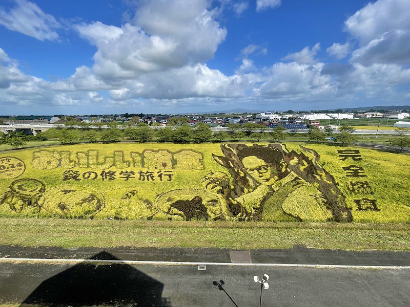 田んぼアート