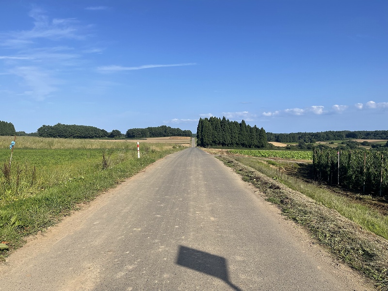 東北町 農地