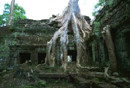 Cambodia no. 096