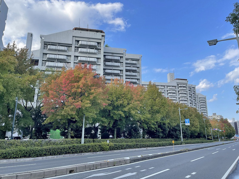 市営基町高層アパート