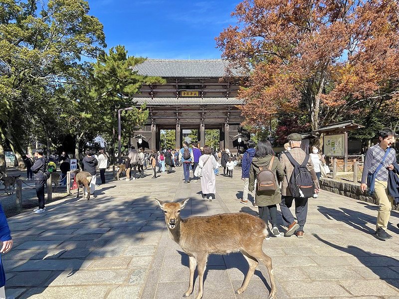 東大寺南大門