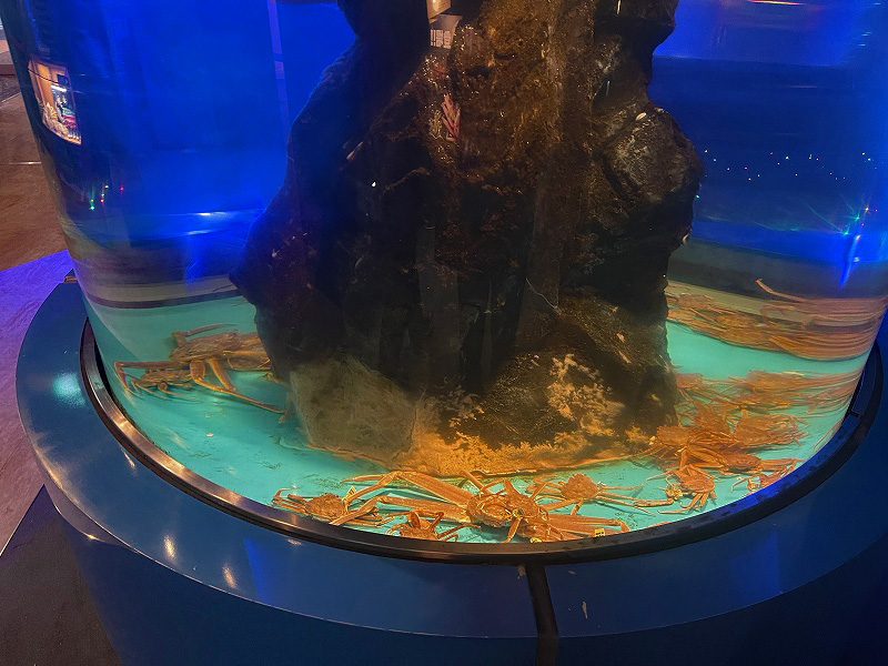 越前がにミュージアム